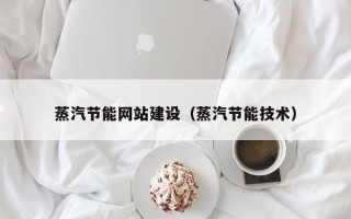 来宾蒸汽节能网站建设（蒸汽节能技术）
